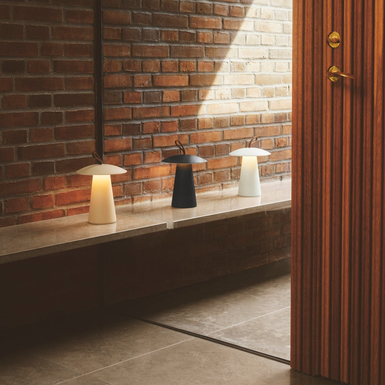 Ara To-Go 2 Rechargeable Table Lamp