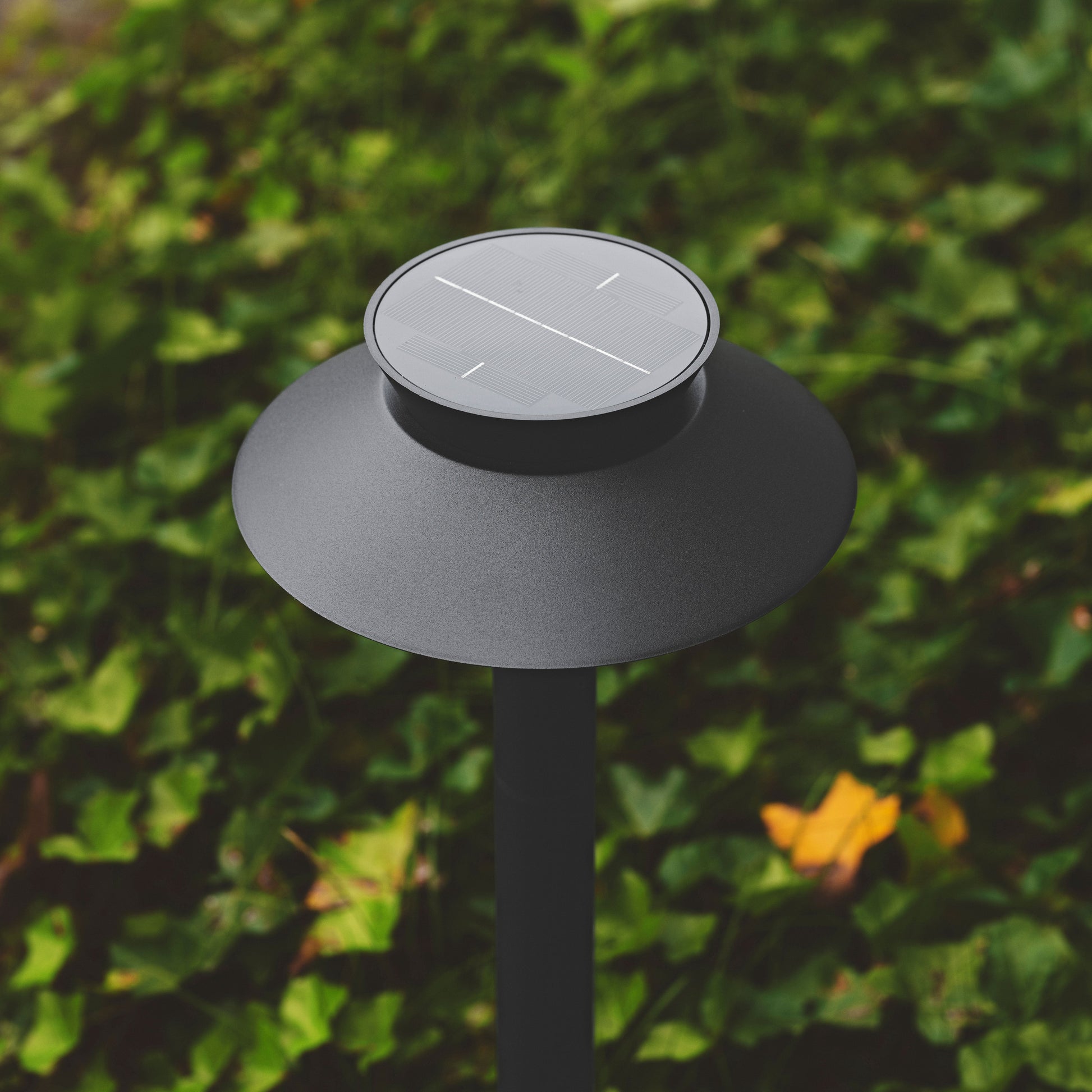 Justina Solar Garden Light