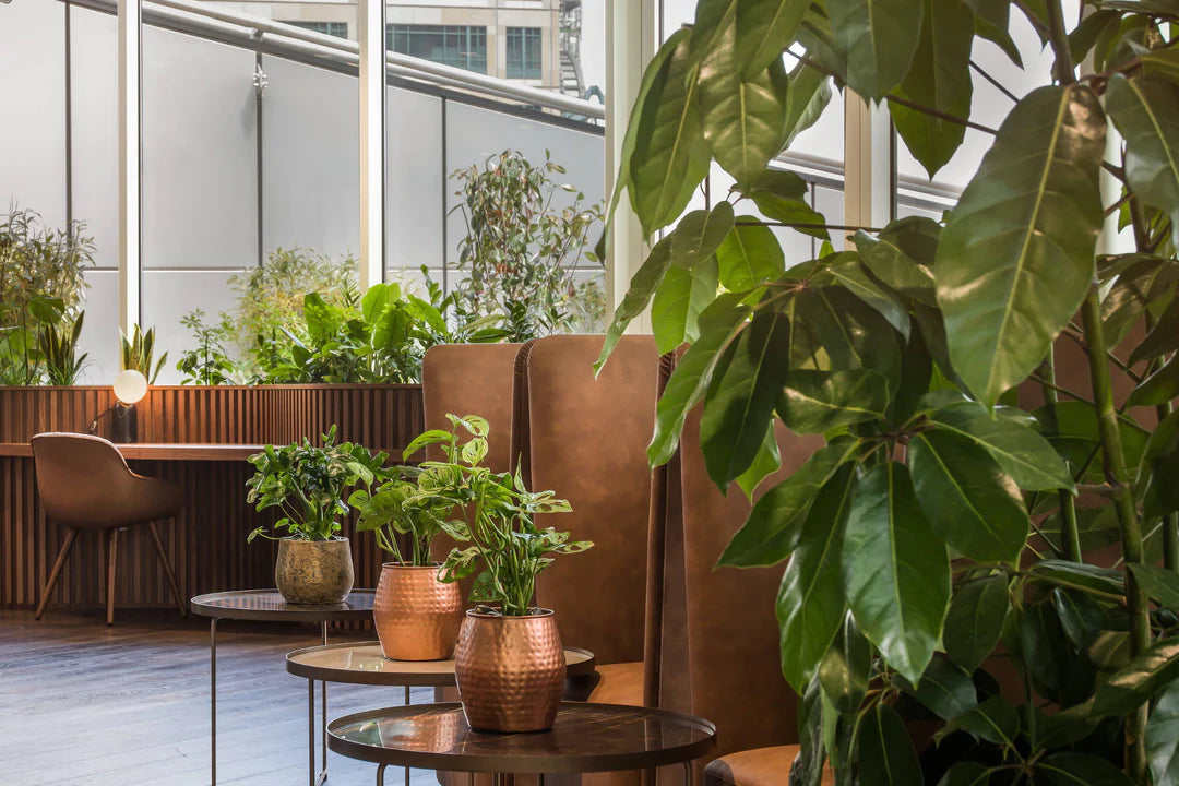 4 Ways To Use Biophilic Design In Your Interiors