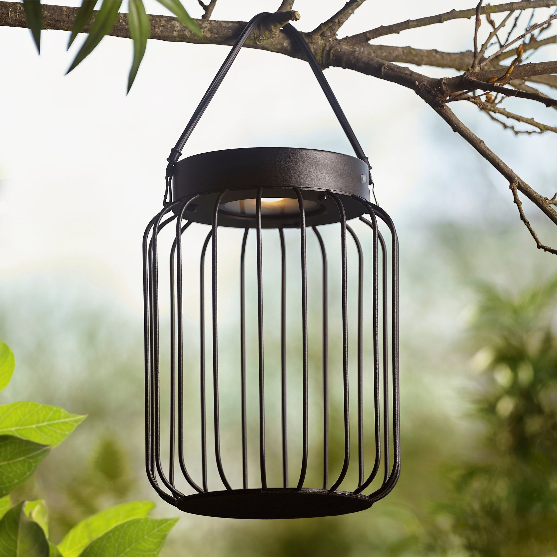 Tropic Solar Table Lamp