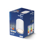 Landon 14 Smart Ceiling Light