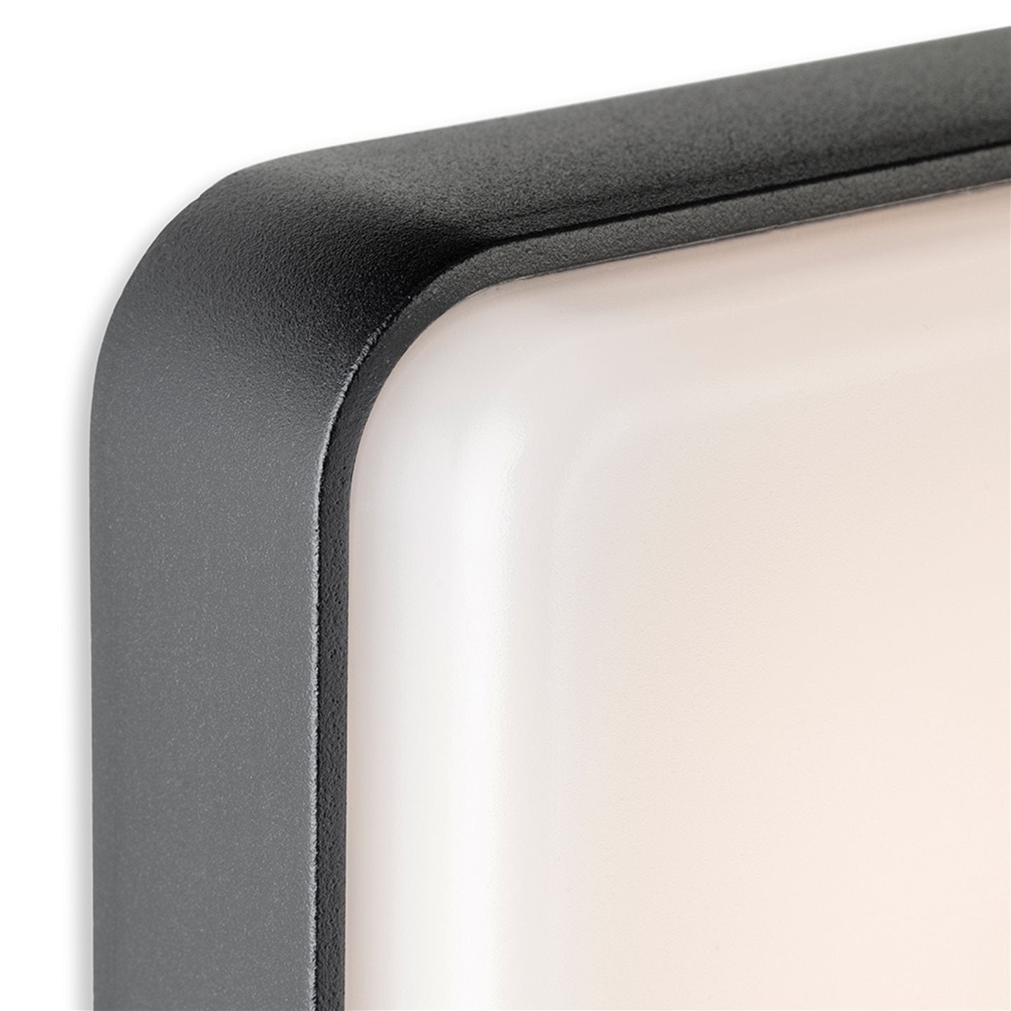 Arlo LED Outdoor Wall Light