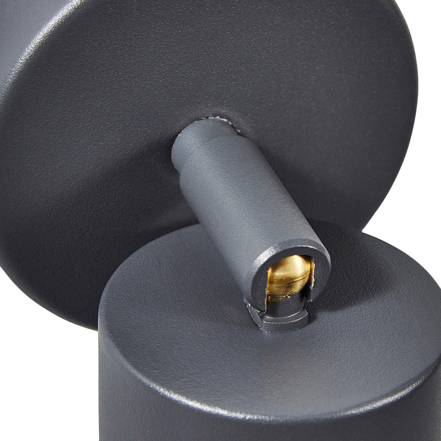 Astor Wall Spotlight