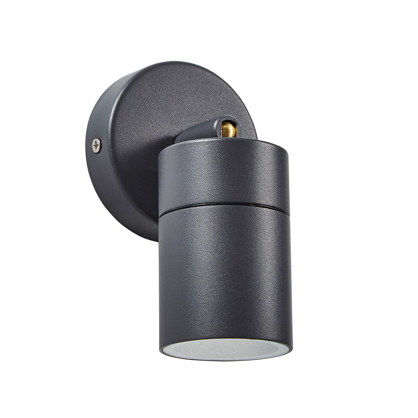 Astor Wall Spotlight