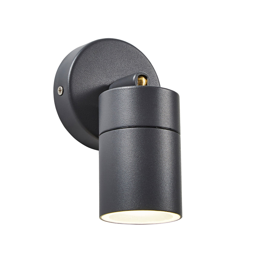 Astor Wall Spotlight