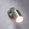 Astor Wall Spotlight