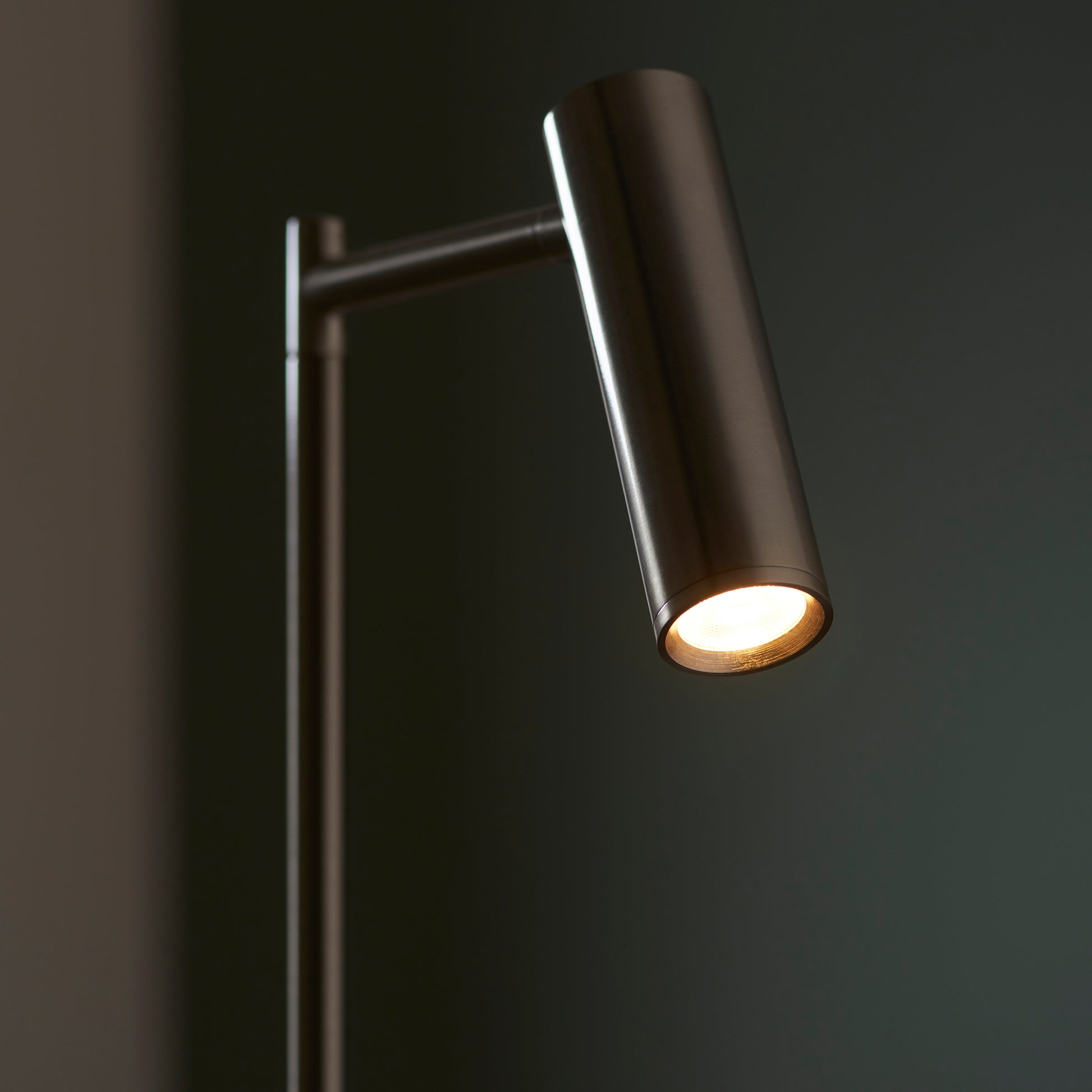 Dedicated Reader Floor Lamp