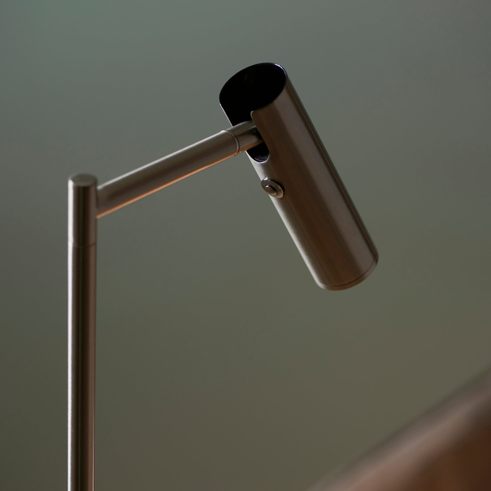 Dedicated Reader Floor Lamp