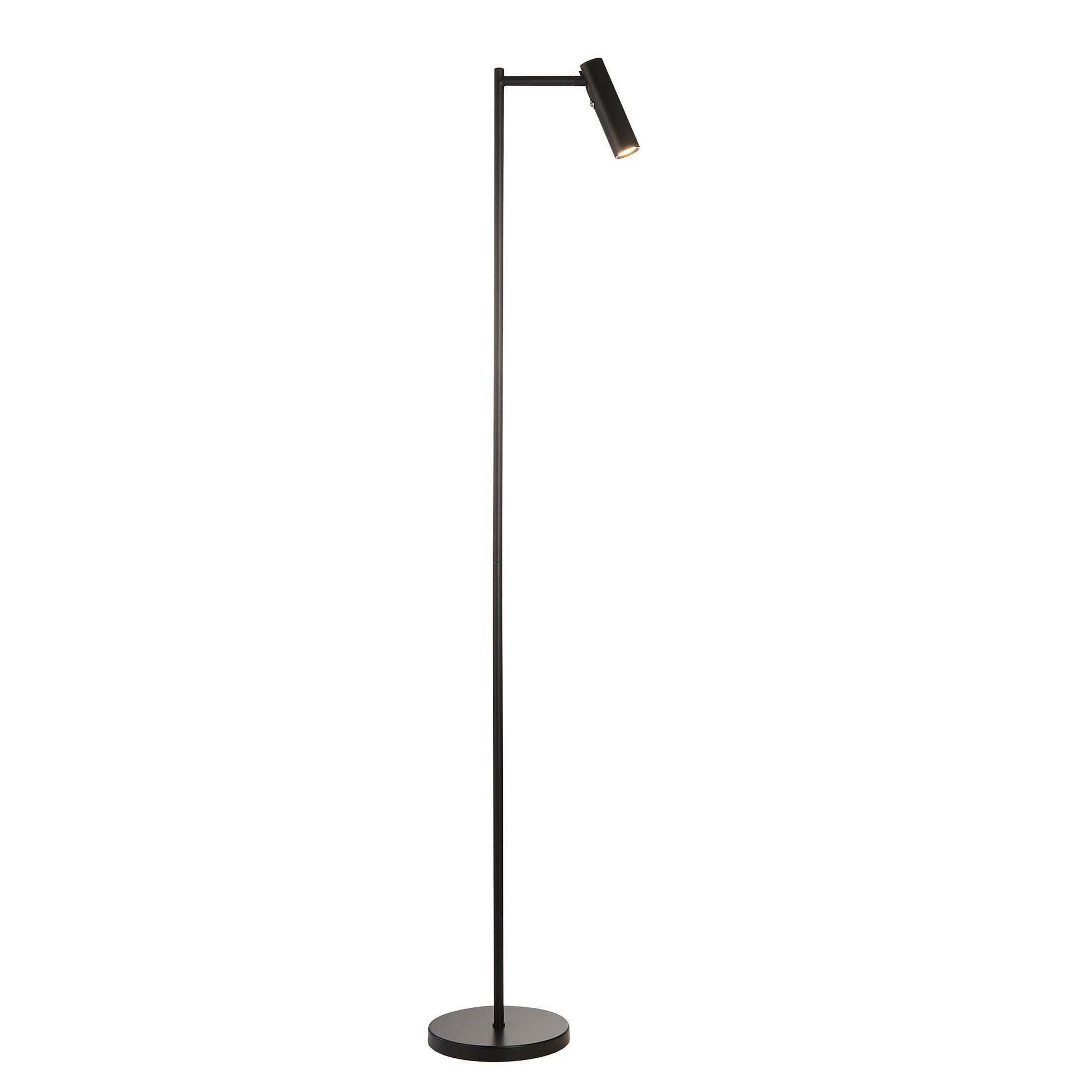 Dedicated Reader Floor Lamp