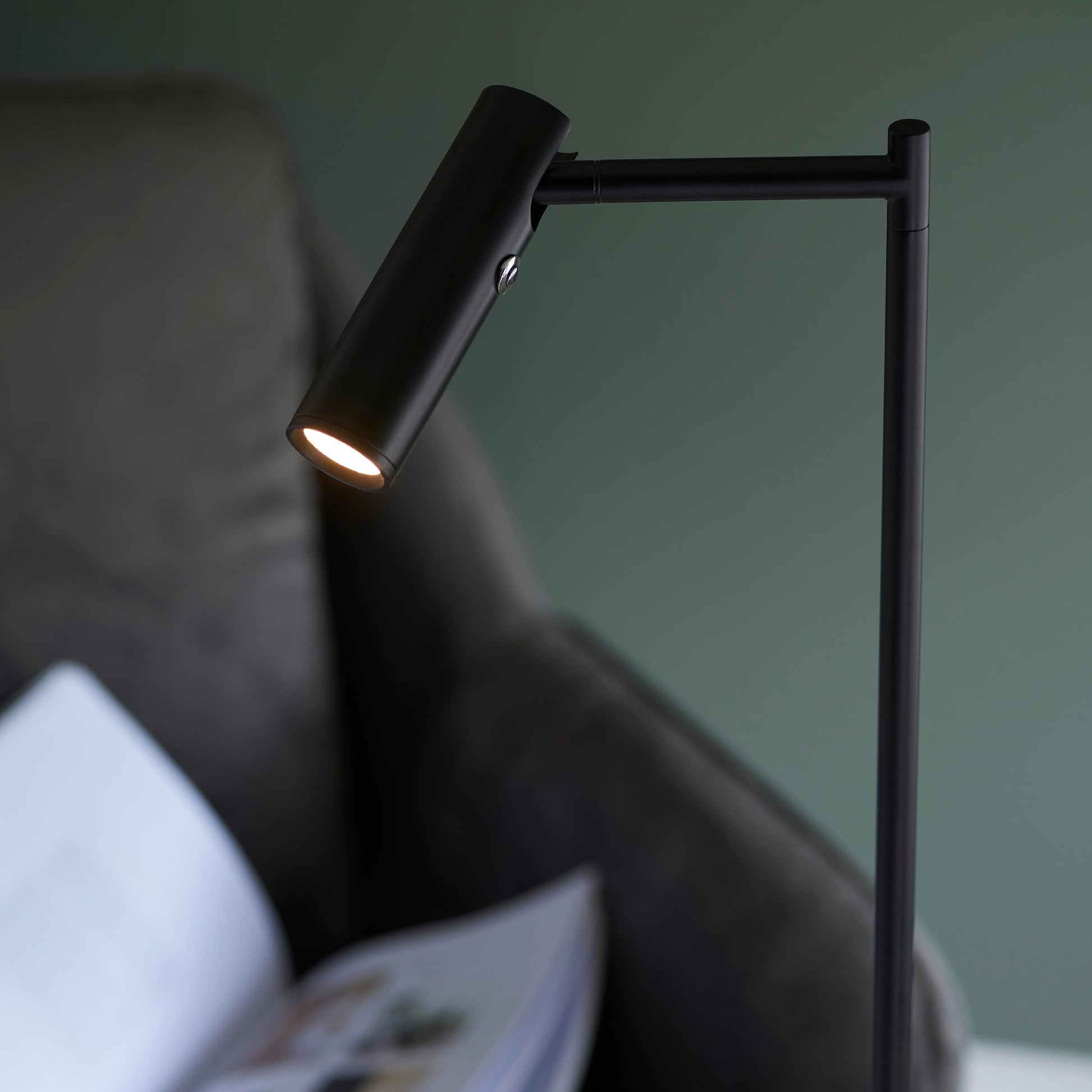 Dedicated Reader Floor Lamp
