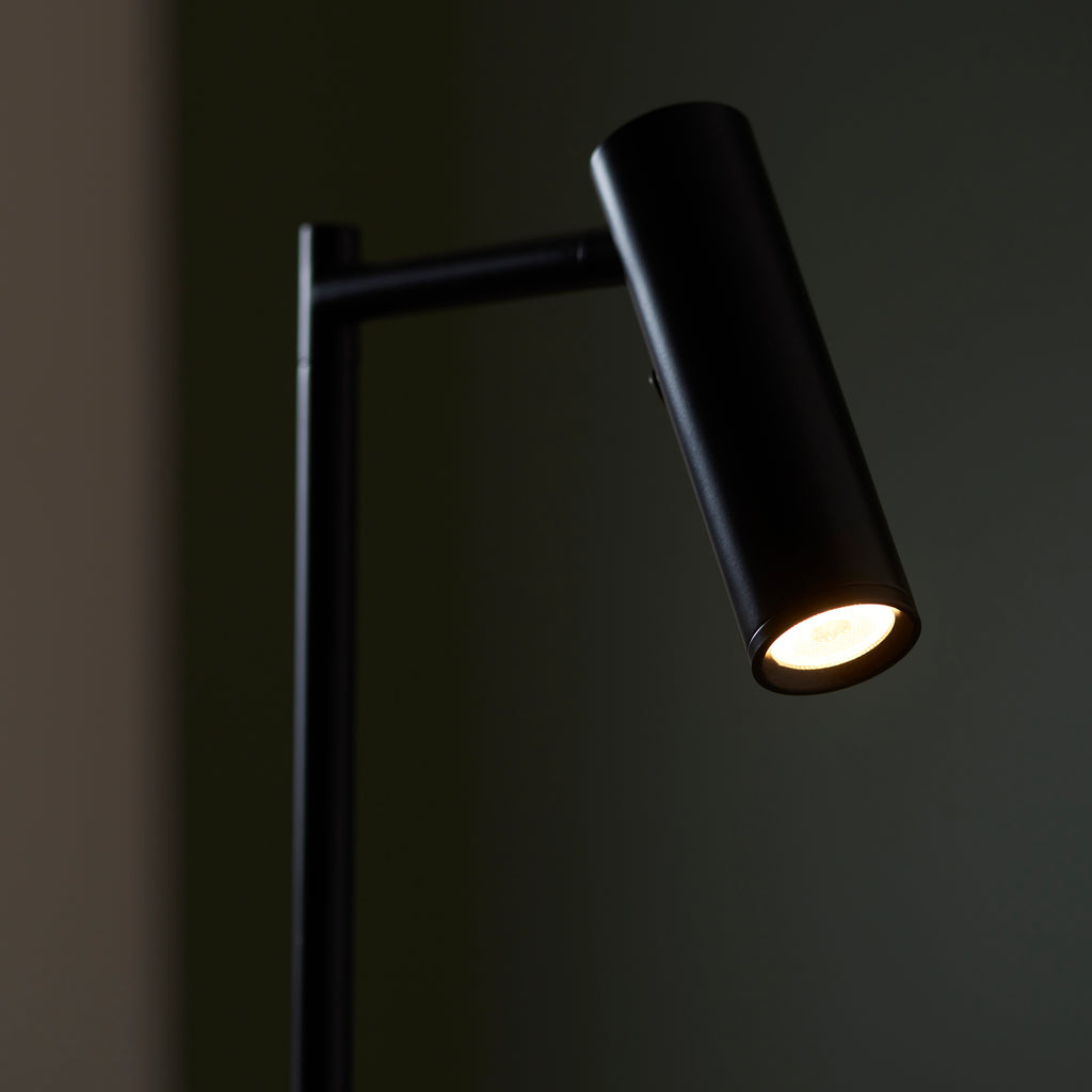 Dedicated Reader Floor Lamp
