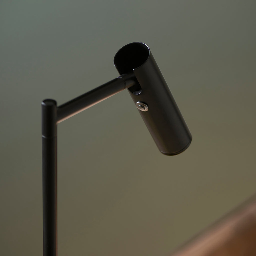 Dedicated Reader Floor Lamp