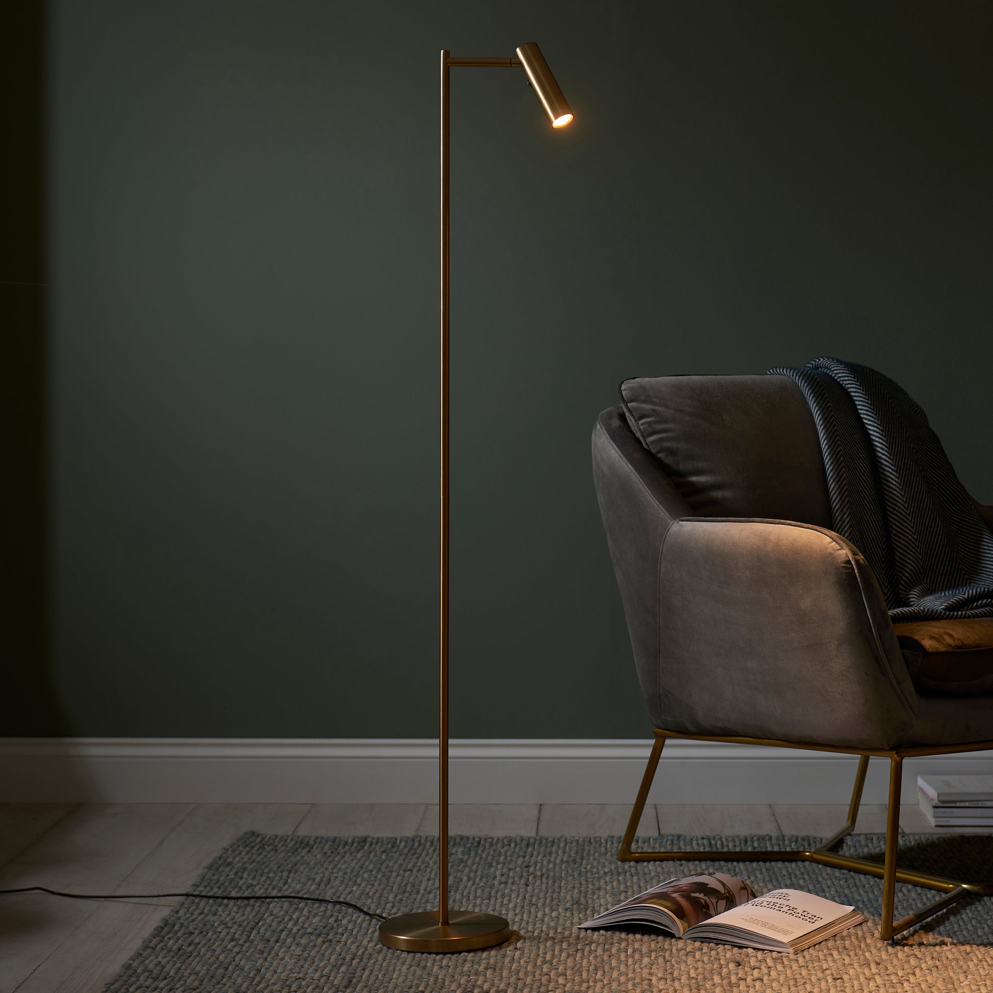 Dedicated Reader Floor Lamp