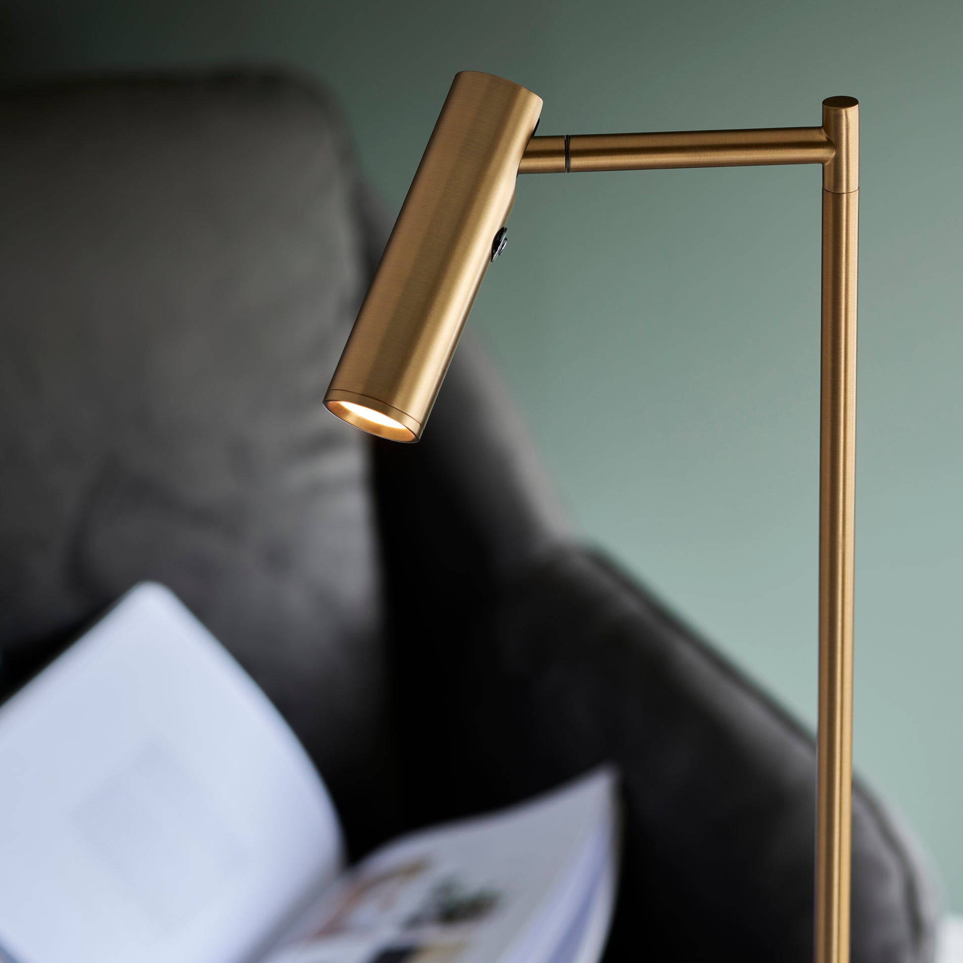 Dedicated Reader Floor Lamp