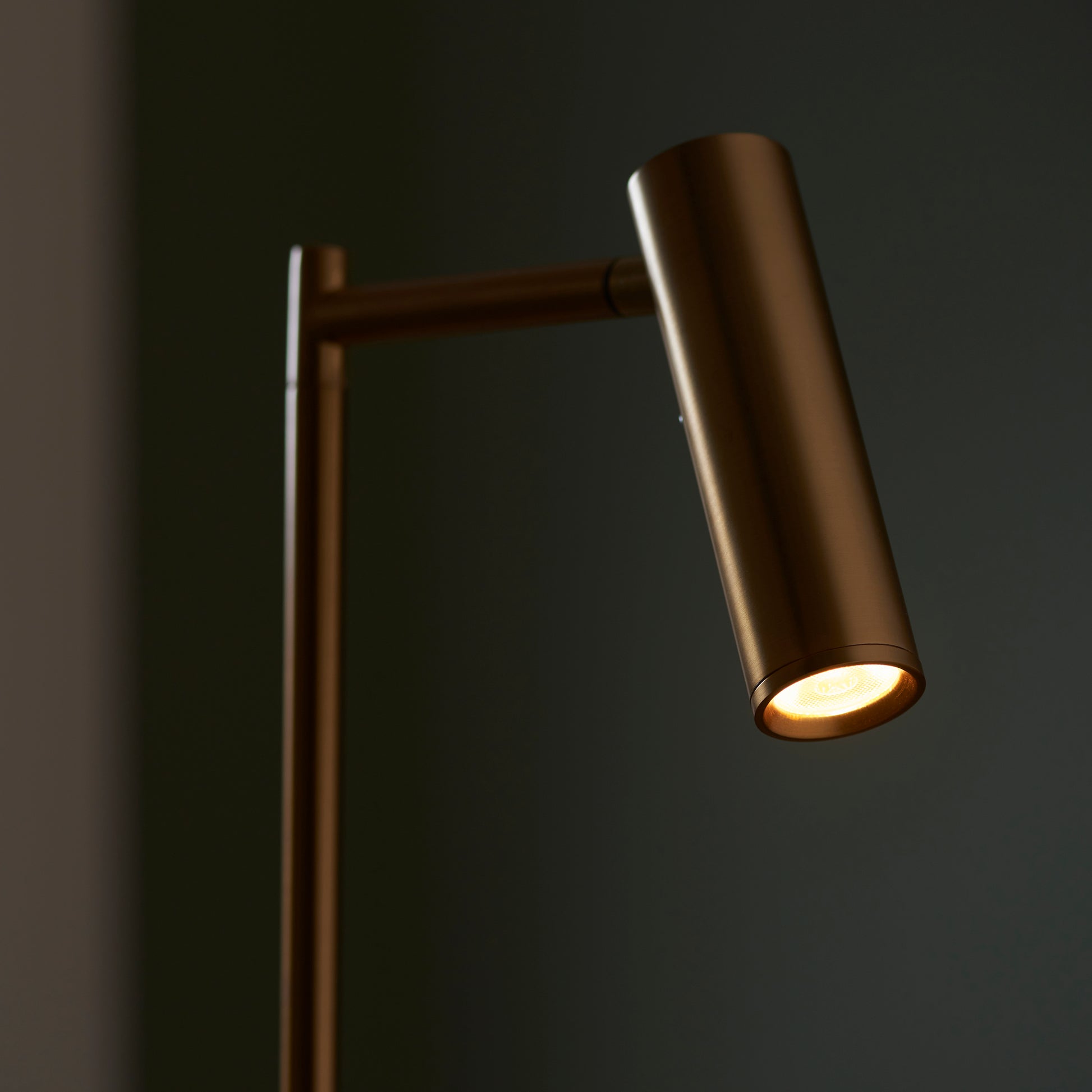 Dedicated Reader Floor Lamp