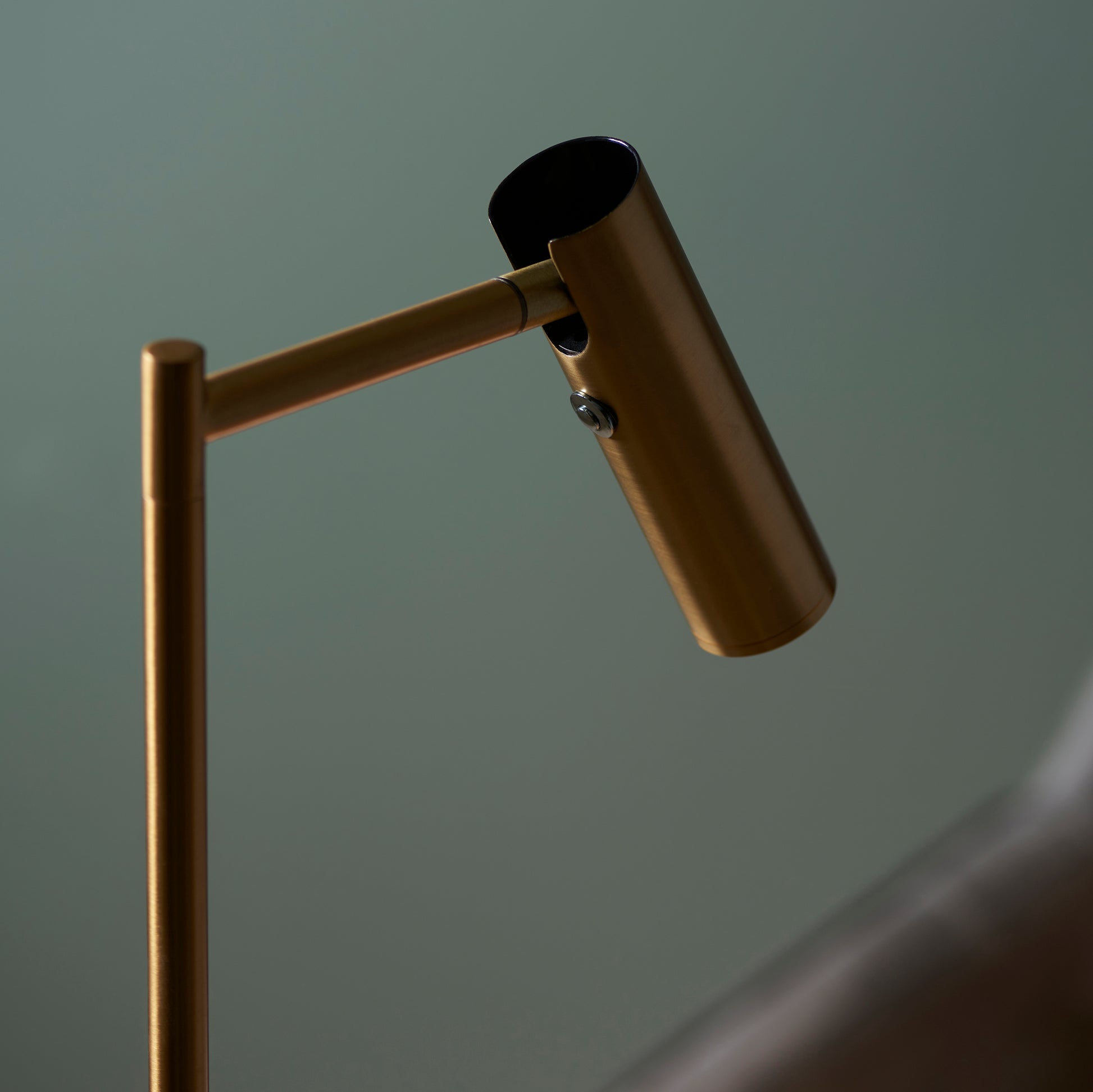 Dedicated Reader Floor Lamp
