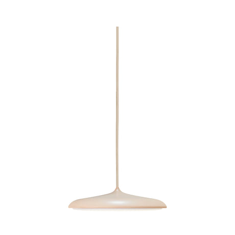 Artist 25 LED Pendant Light