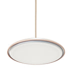 Artist 25 LED Pendant Light