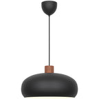 Aurelio Pendant Light, Black
