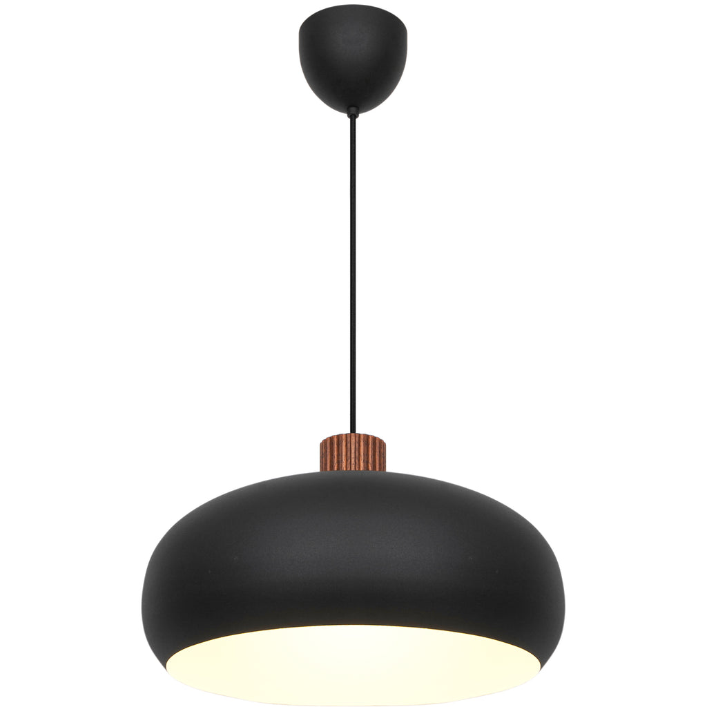 Black pendant light with wooden accent on a white background