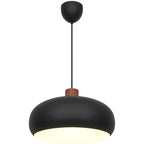 Black pendant light with wooden accent on a white background