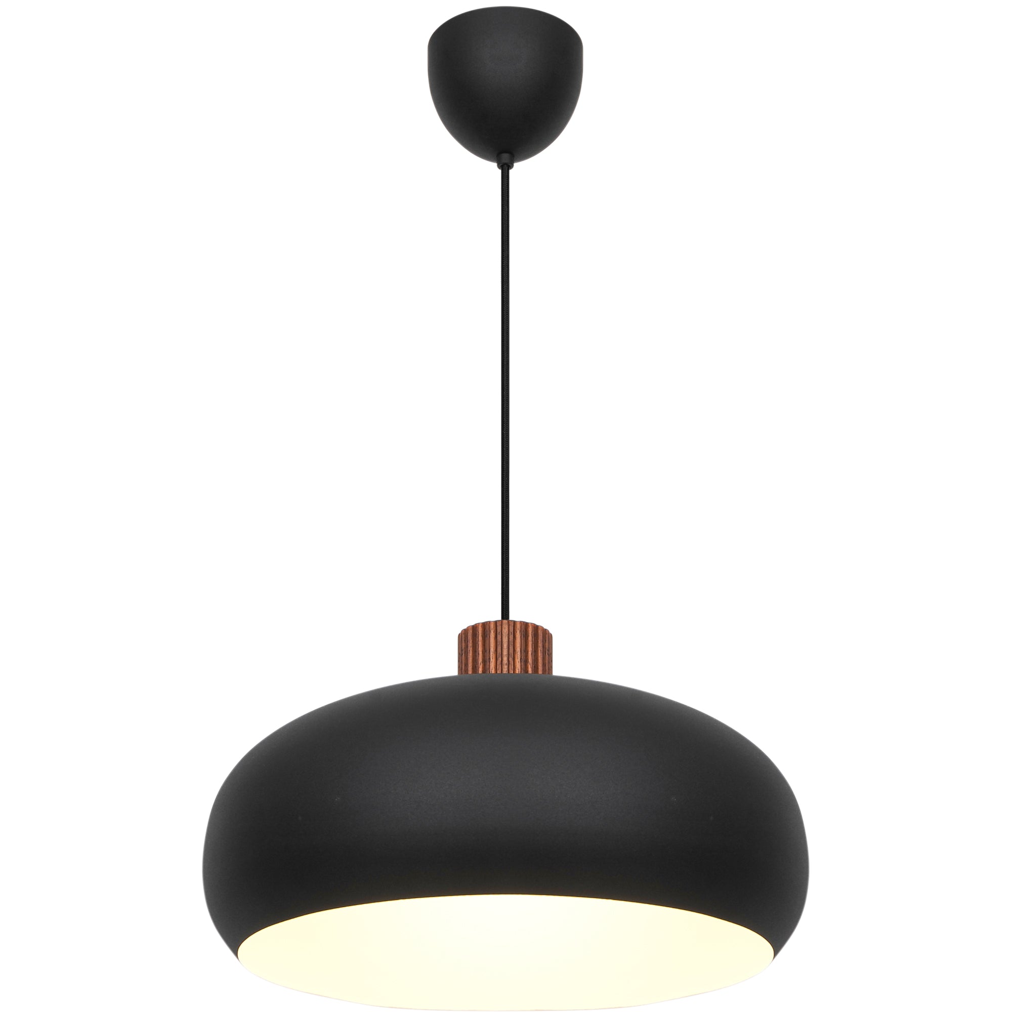 Black pendant light with wooden accent on a white background