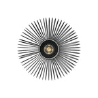 Beroni Wall/Ceiling Light
