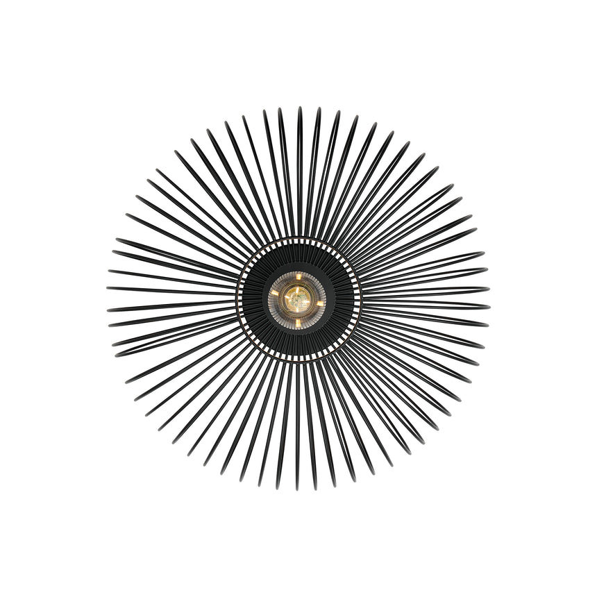 Beroni Wall/Ceiling Light