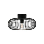 Beroni Wall/Ceiling Light