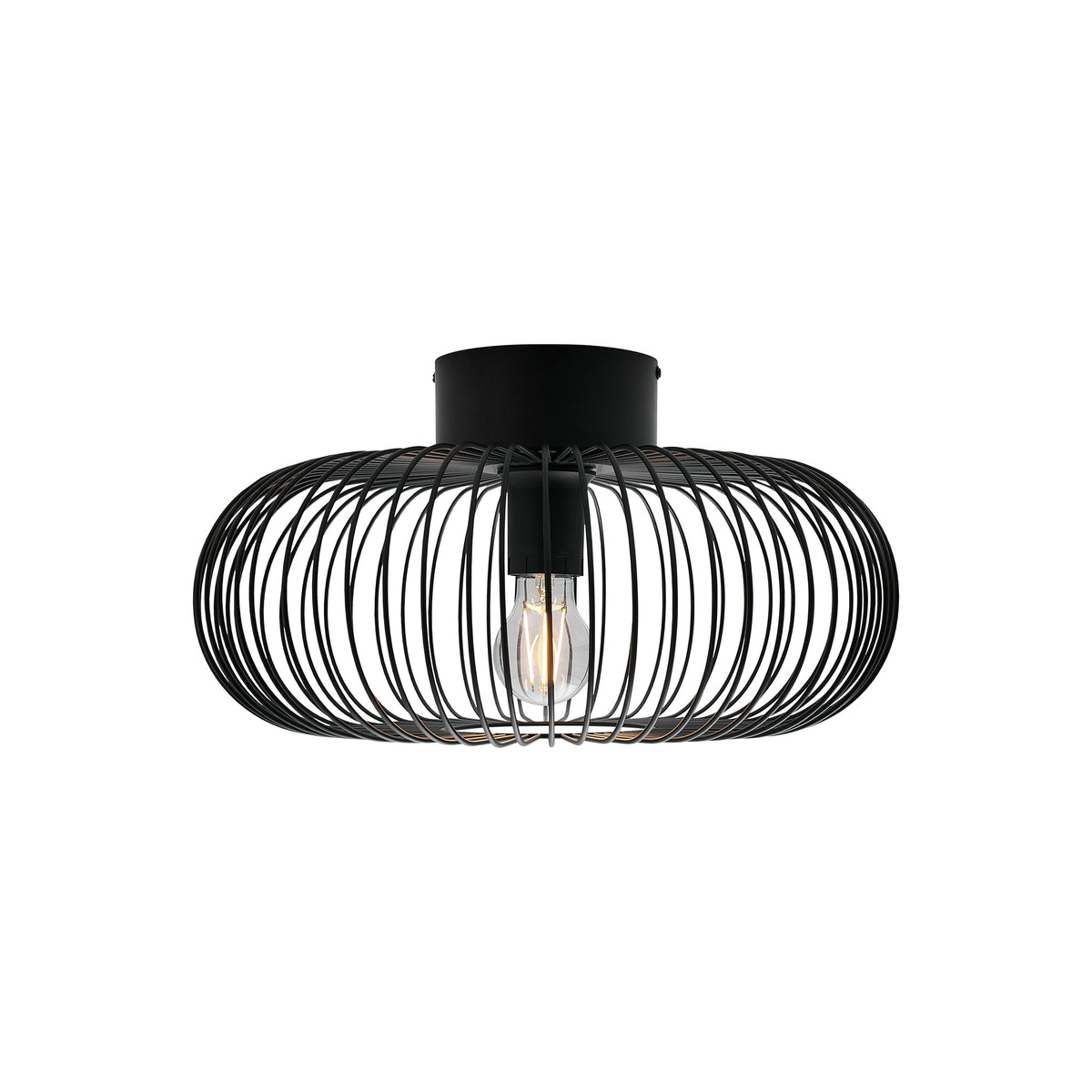 Beroni Wall/Ceiling Light