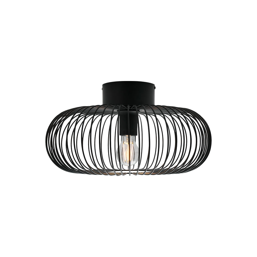 Beroni Wall/Ceiling Light