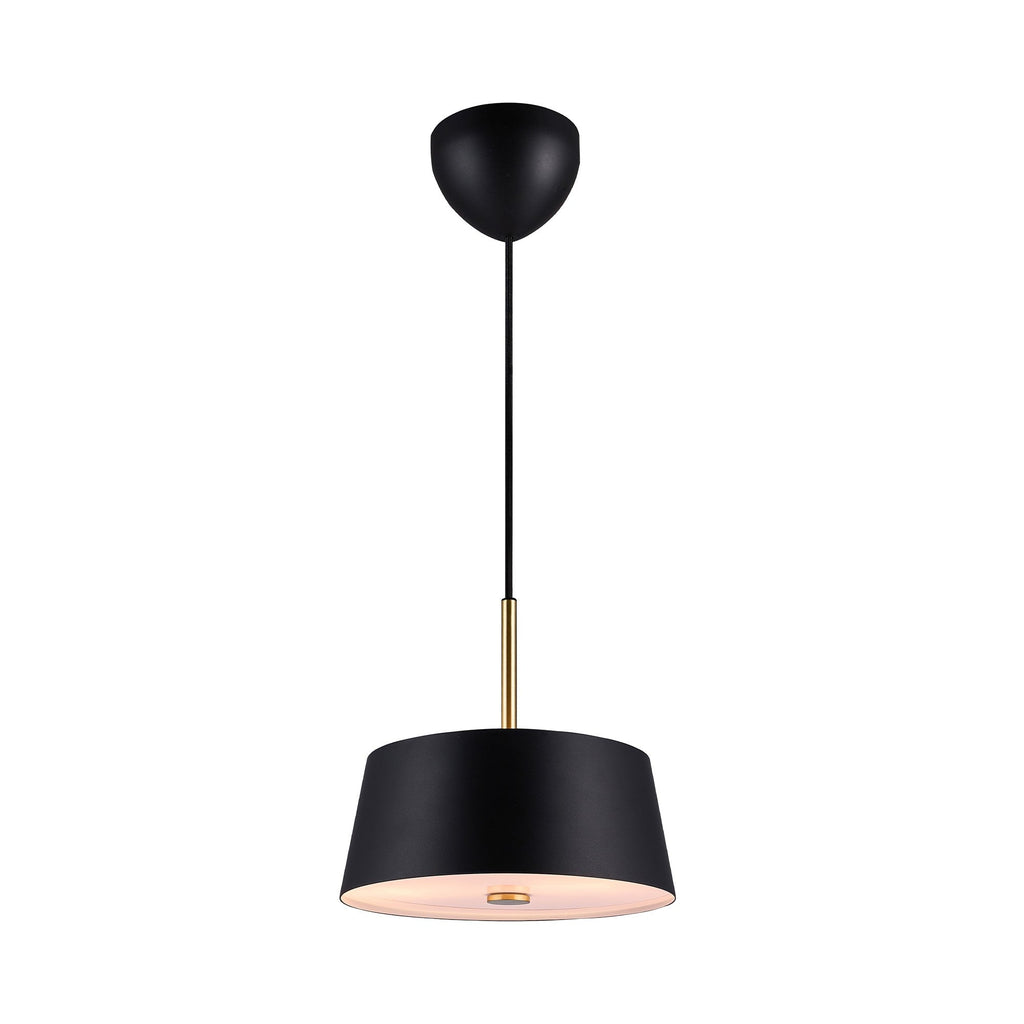 Clasi 30 Pendant Light