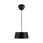 Clasi 45 Pendant Light