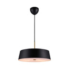Clasi 45 Pendant Light