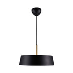 Clasi 45 Pendant Light