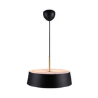 Clasi 45 Pendant Light