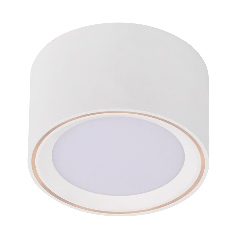 Fallon LED Downlight