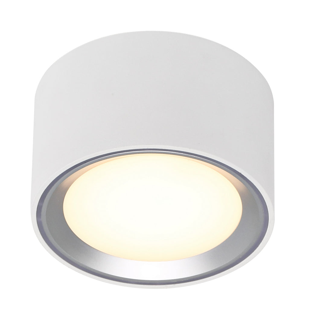 Fallon LED Downlight