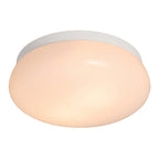 Foam Bathroom Ceiling Light