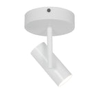 Jerome Ceiling Spotlight