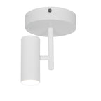 Jerome Ceiling Spotlight