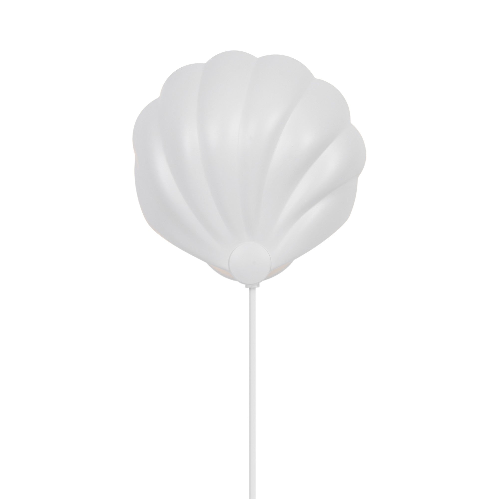 Konchi Shell Wall Light