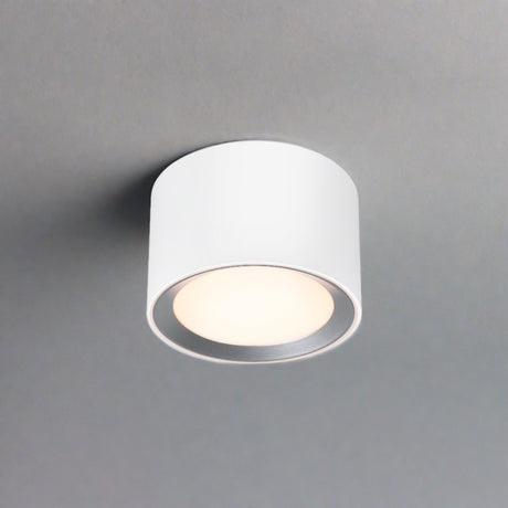 Landon Smart Ceiling Light