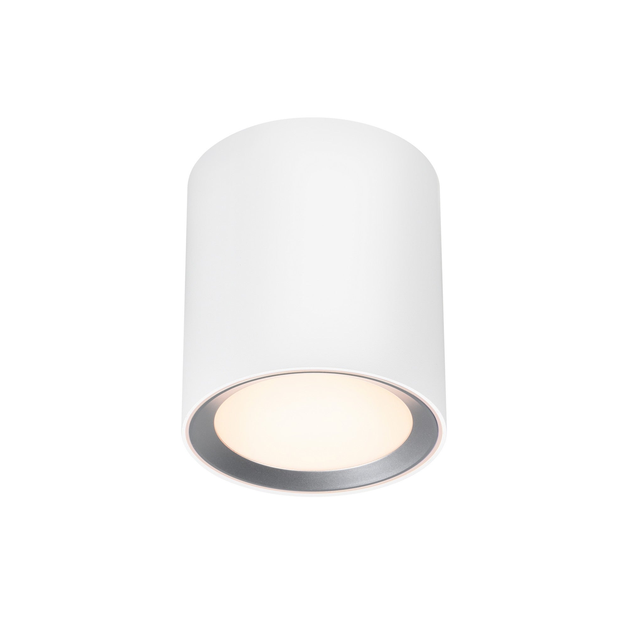 Landon 14 Smart Ceiling Light