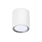 Landon 14 Smart Ceiling Light