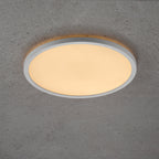 Oja 29 LED MoodMaker Ceiling Light, White