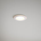 Elkton LED Downlight with 3-Step MoodMaker