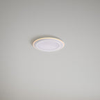 Elkton LED Downlight with 3-Step MoodMaker