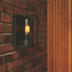 Griffin Wall Light, Black/Smoke
