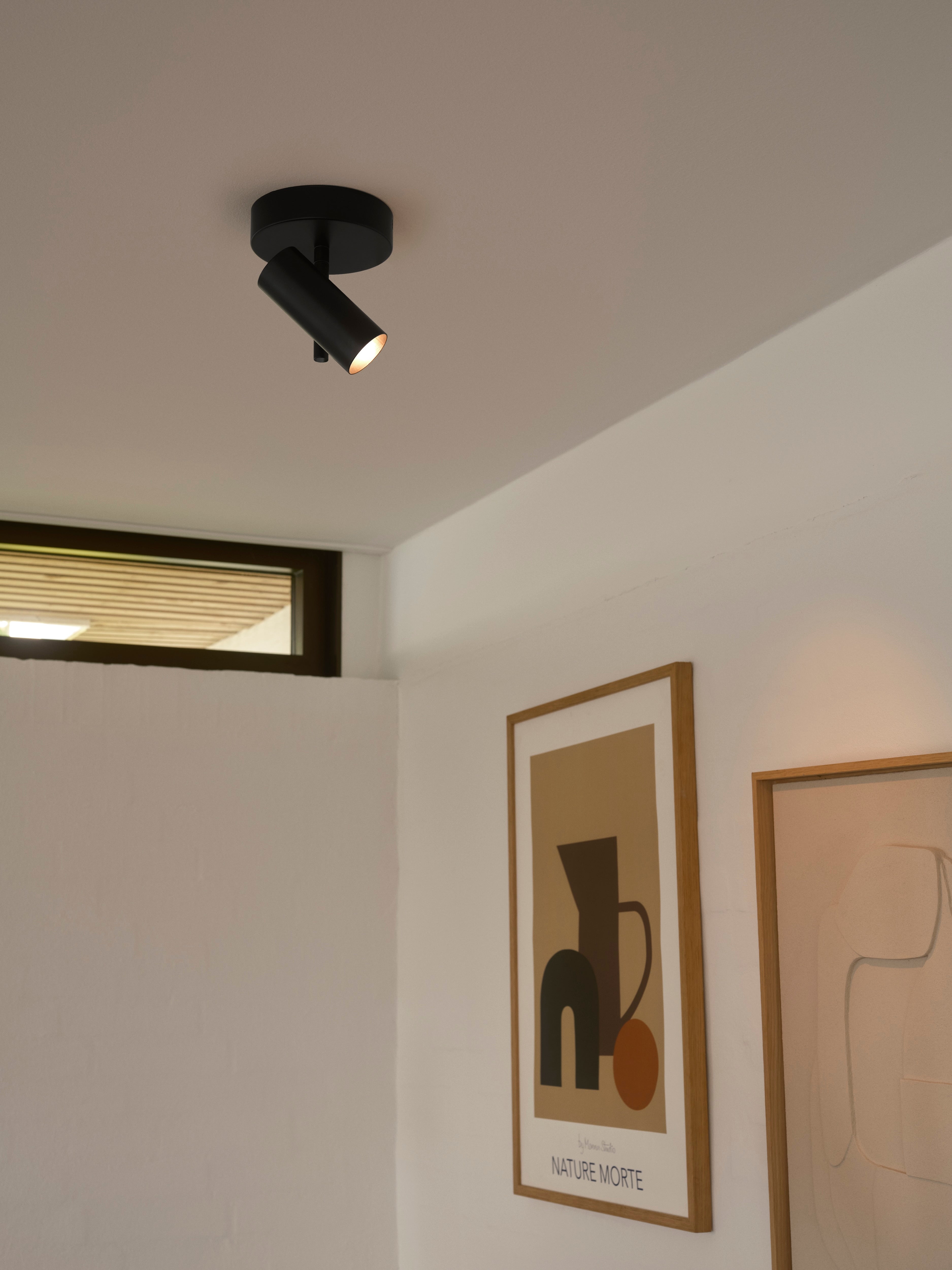 Jerome Ceiling Spotlight